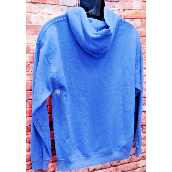 Bridgeport Bluefish Vintage SweatShirt Gildan Tag Size M Minor League Baseball - Picture 6 of 8